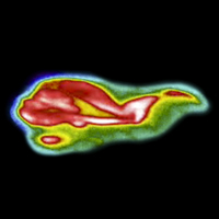 THERMAL IMAGERY STUDY